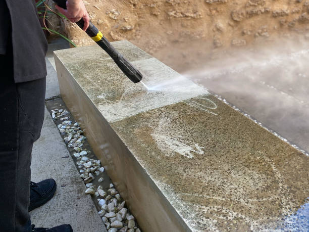 Best Roof Power Washing Services  in Windsor, VA